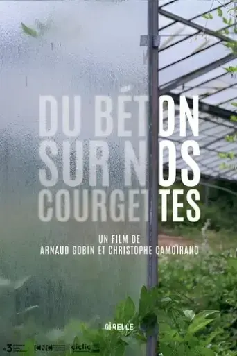 du-beton-sur-nos-courgettes-2021