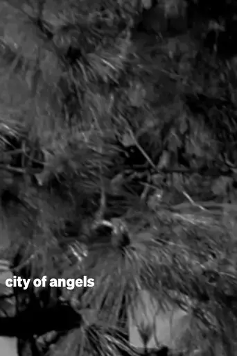 Poster city of angels (2025)