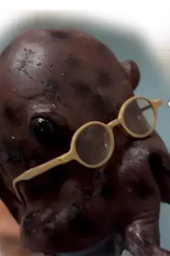 nipple-hot-springs-the-octopus-gratitude-2023
