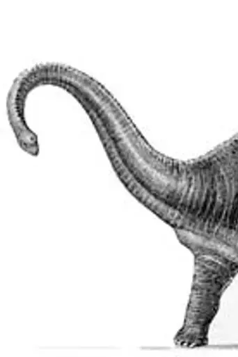 diplodocus-at-large-1953