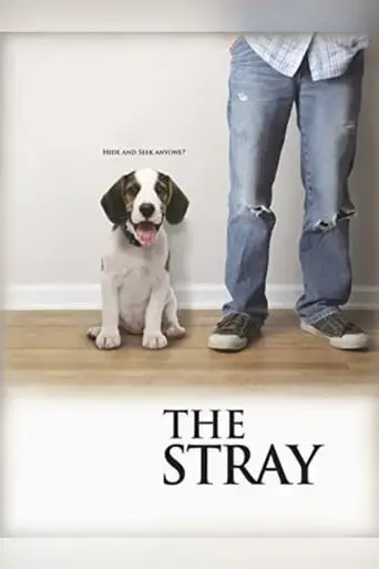 the-stray-2012