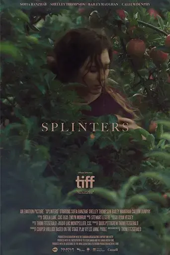 splinters-2018