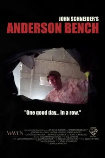 anderson-bench-2016