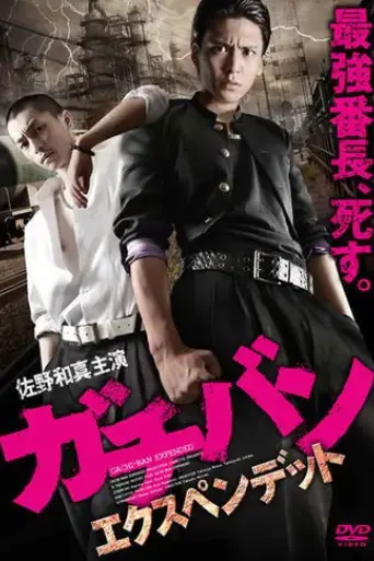 gachi-ban-expended-2013