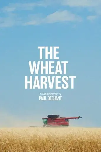 the-wheat-harvest-2023
