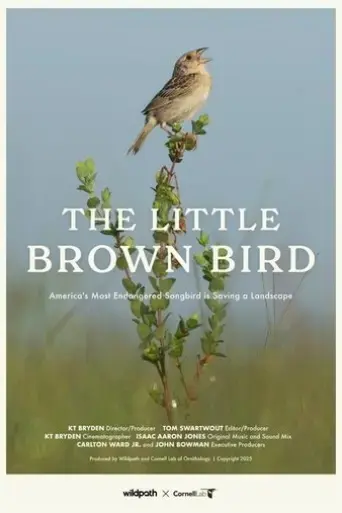 the-little-brown-bird-2025