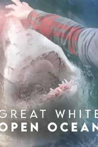 great-white-open-ocean-2022