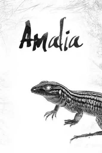 amalia-2018