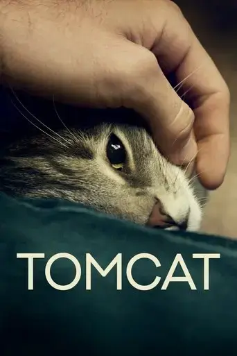 tomcat-2016