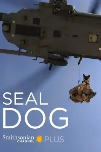 seal-dog-2015
