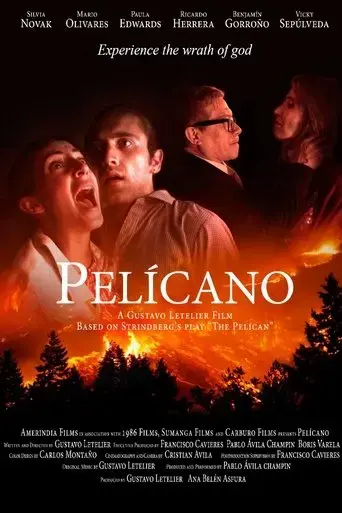 pelicano-2019