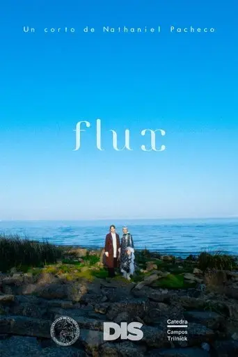 flux-2022