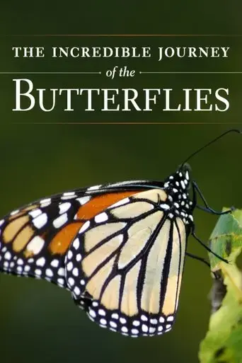 the-incredible-journey-of-the-butterflies-2009