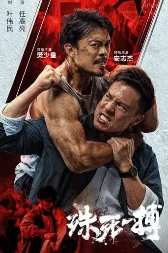 shu-si-yi-bo-2024